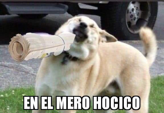 Mister Linares tweet media