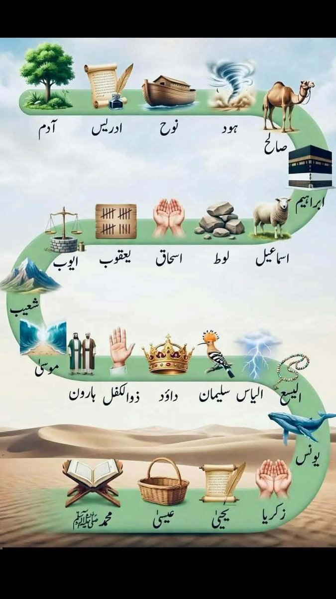 رفيده tweet media