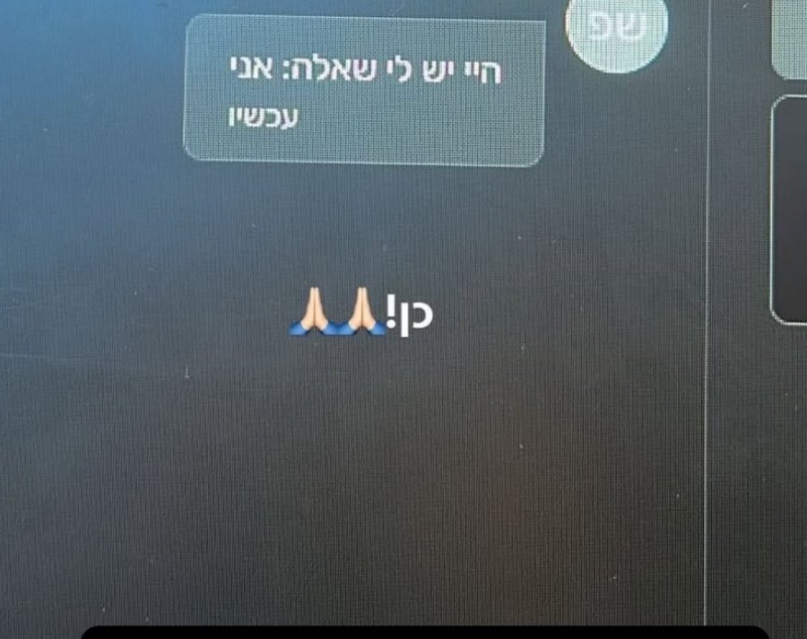 נֶעבֶּעךְ🐝 tweet media