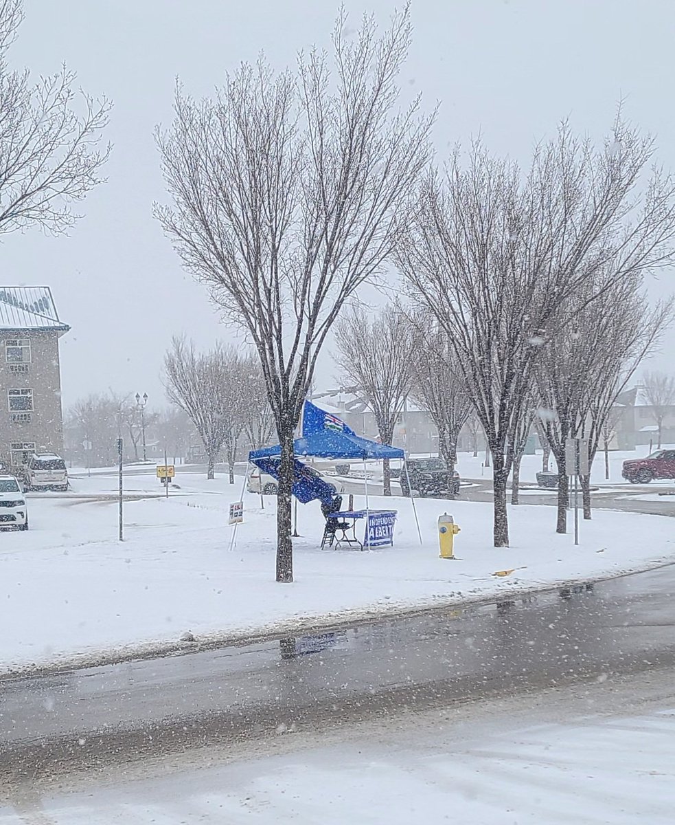 stayfreealberta tweet media