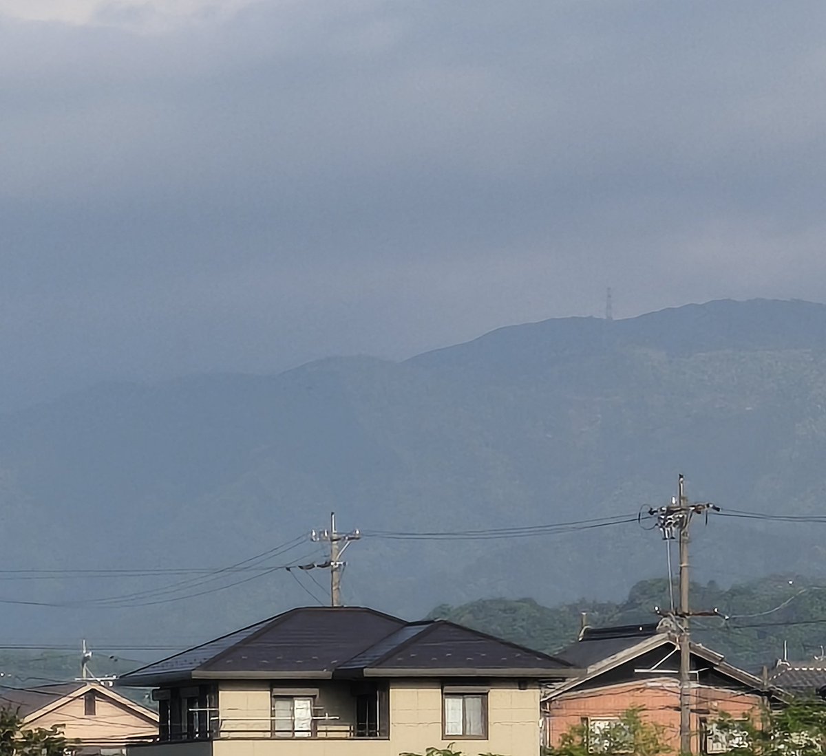 美濃のQ tweet media