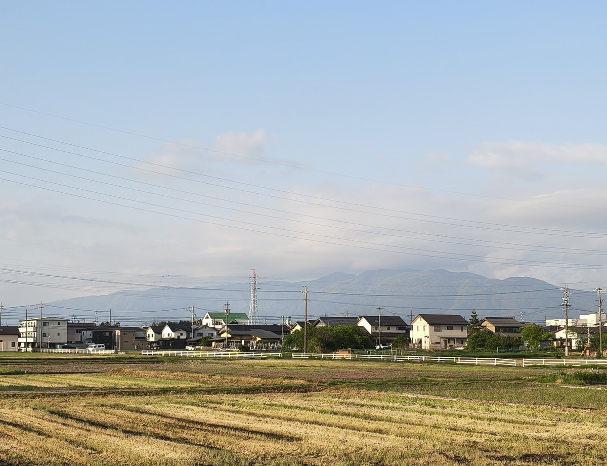 美濃のQ tweet media