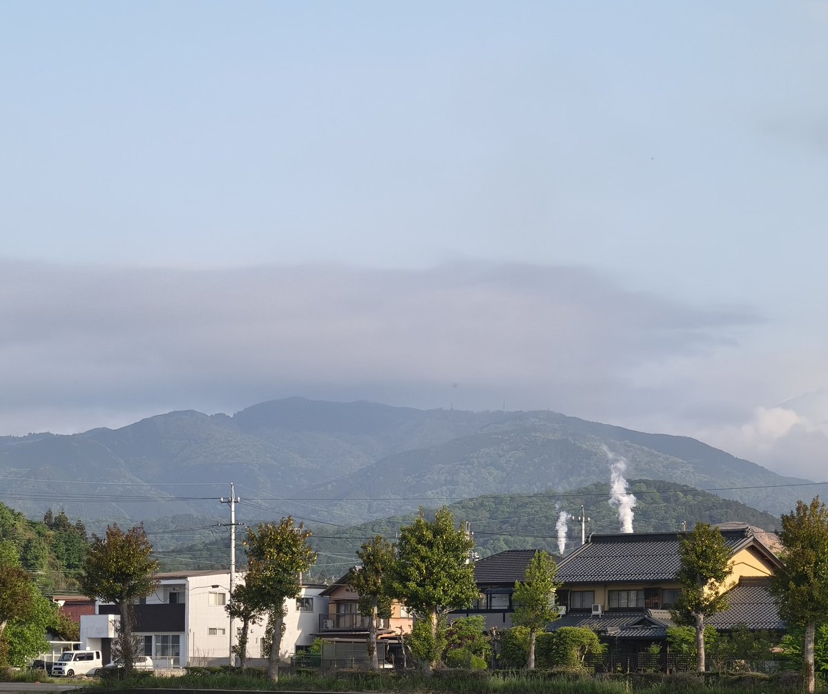 美濃のQ tweet media