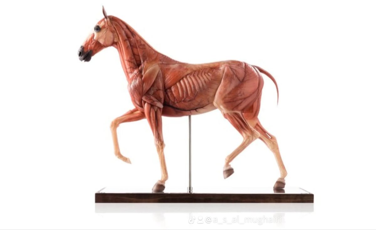 Ahmed Bin Suwayyid tweet media