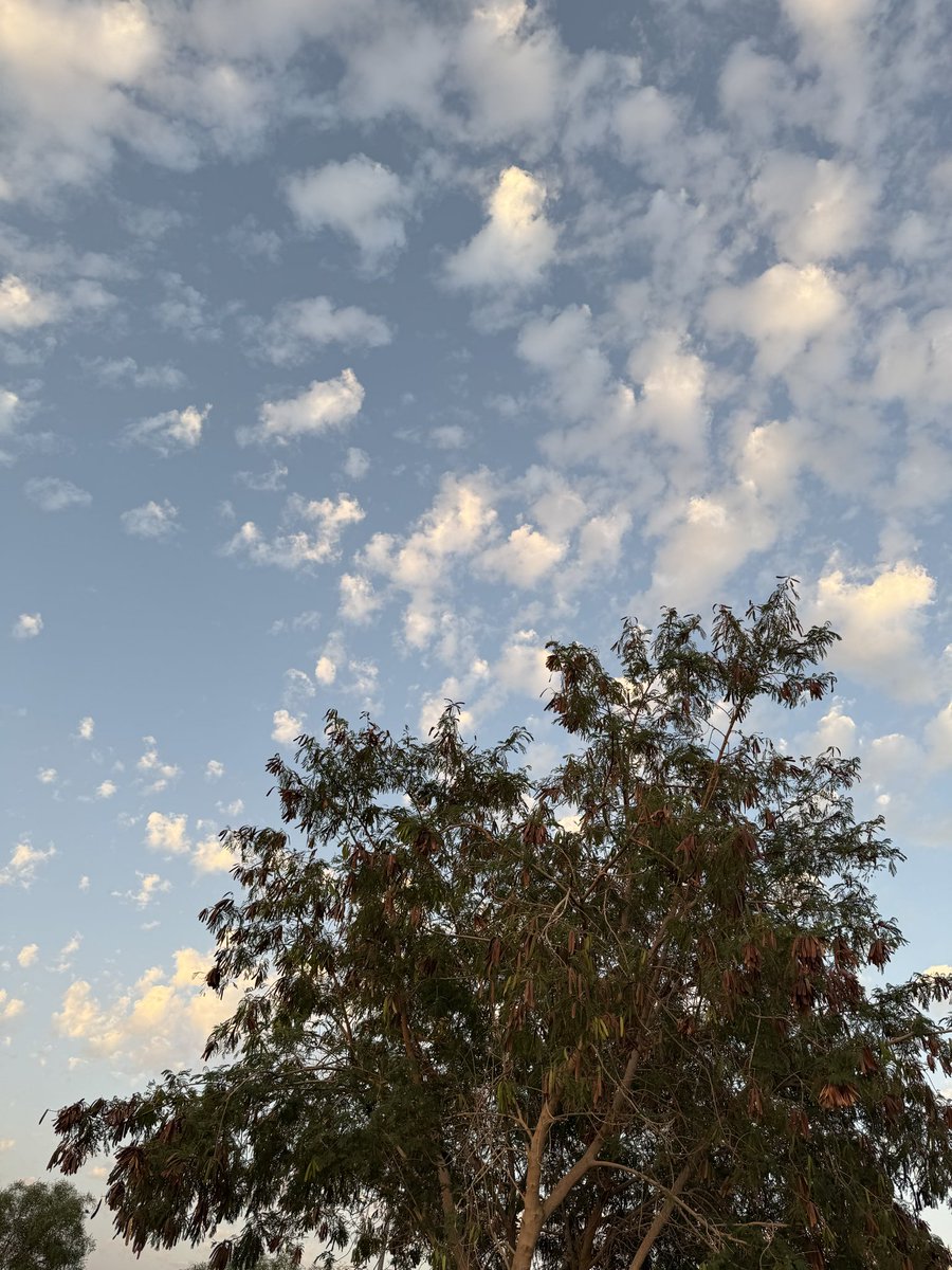ms_Ghado1994's tweet photo. in love with the horizon 🩵 https://t.co/N6DQEmEFk8