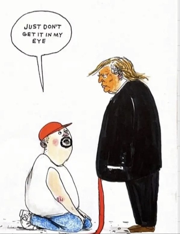 Angry_Turtle tweet media