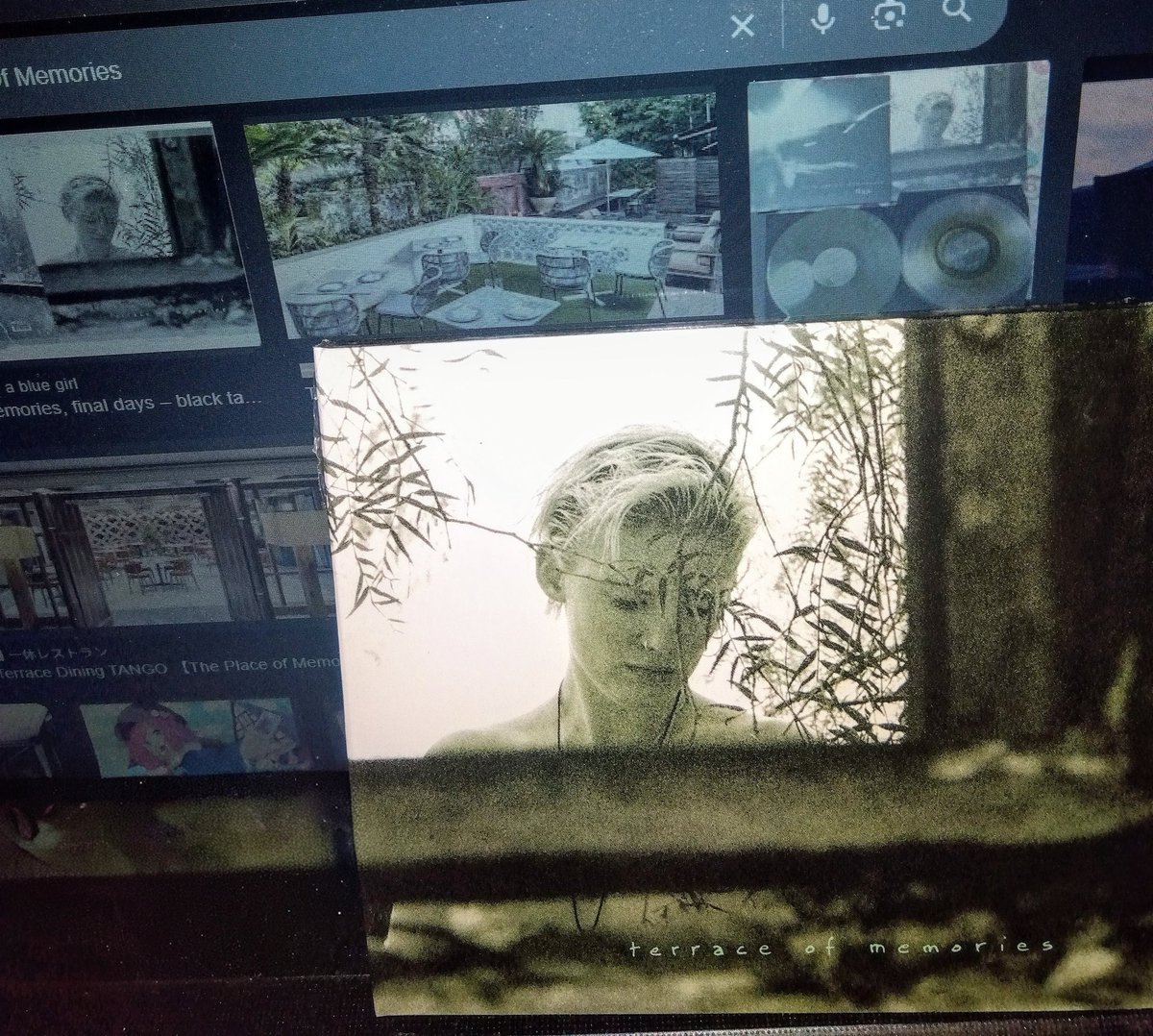 mellozaemon's tweet image. #TerraceOfMemories S/T('92) #Ambient
#BlackTapeForABlueGirl🇺🇸のSam Rosenthalと
#vidnaObmana🇧🇪の幽玄なコラボ作品
出所祝にポチって今朝7時のトラック届きたてを
コンビニで拾って来ました