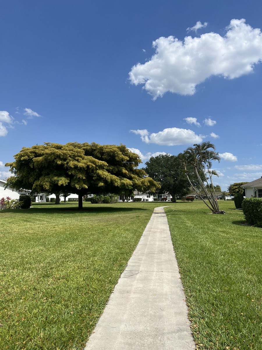 Dawn Tepper • 👩🏻‍💻 🍷 🎙️ tweet media