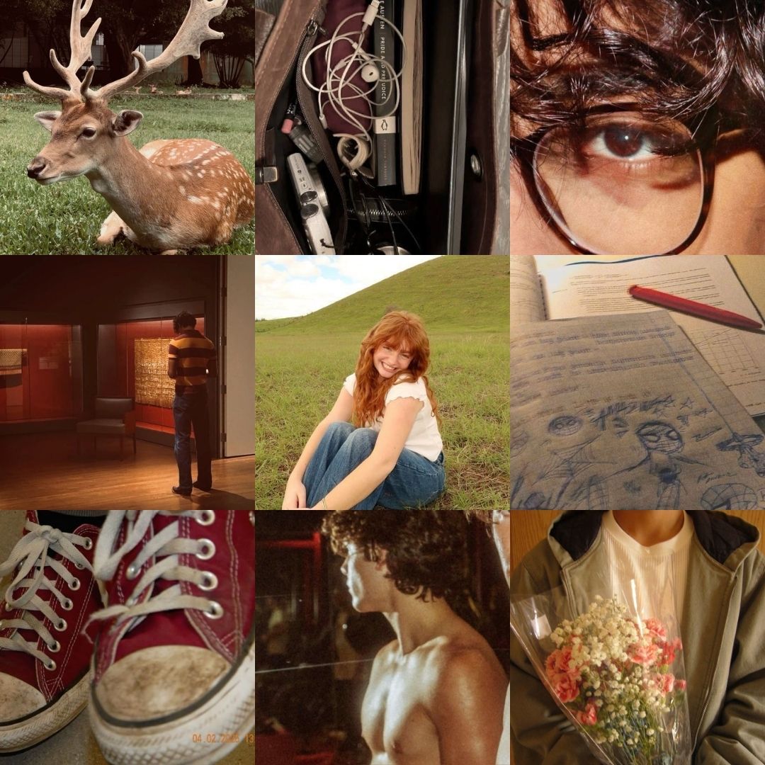 luli⁴⁴ tweet media