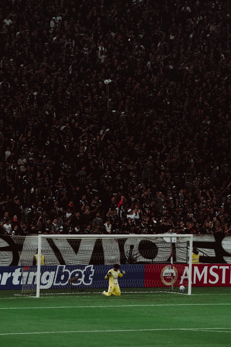 Time do Povo tweet media