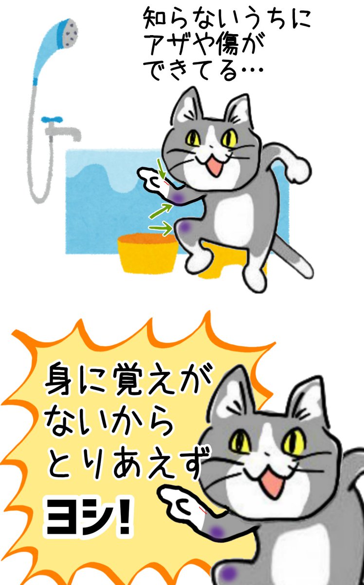 いつの間にかアザができてる謎現象 #現場猫