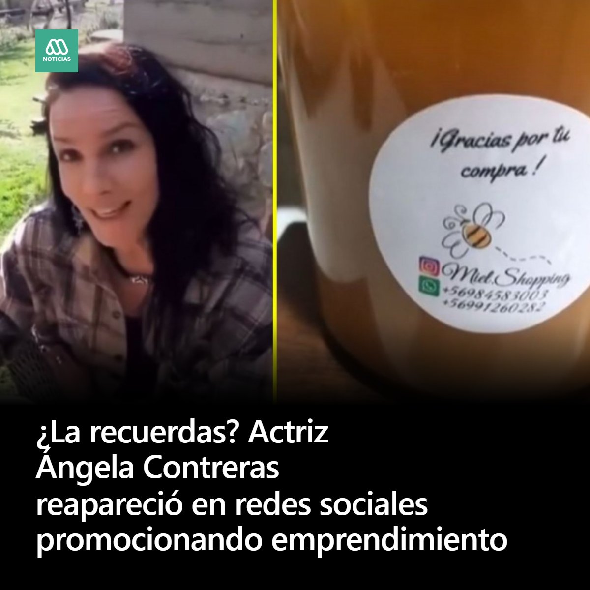 Meganoticias tweet media