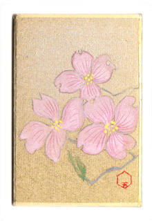 日本の誕生花 tweet media