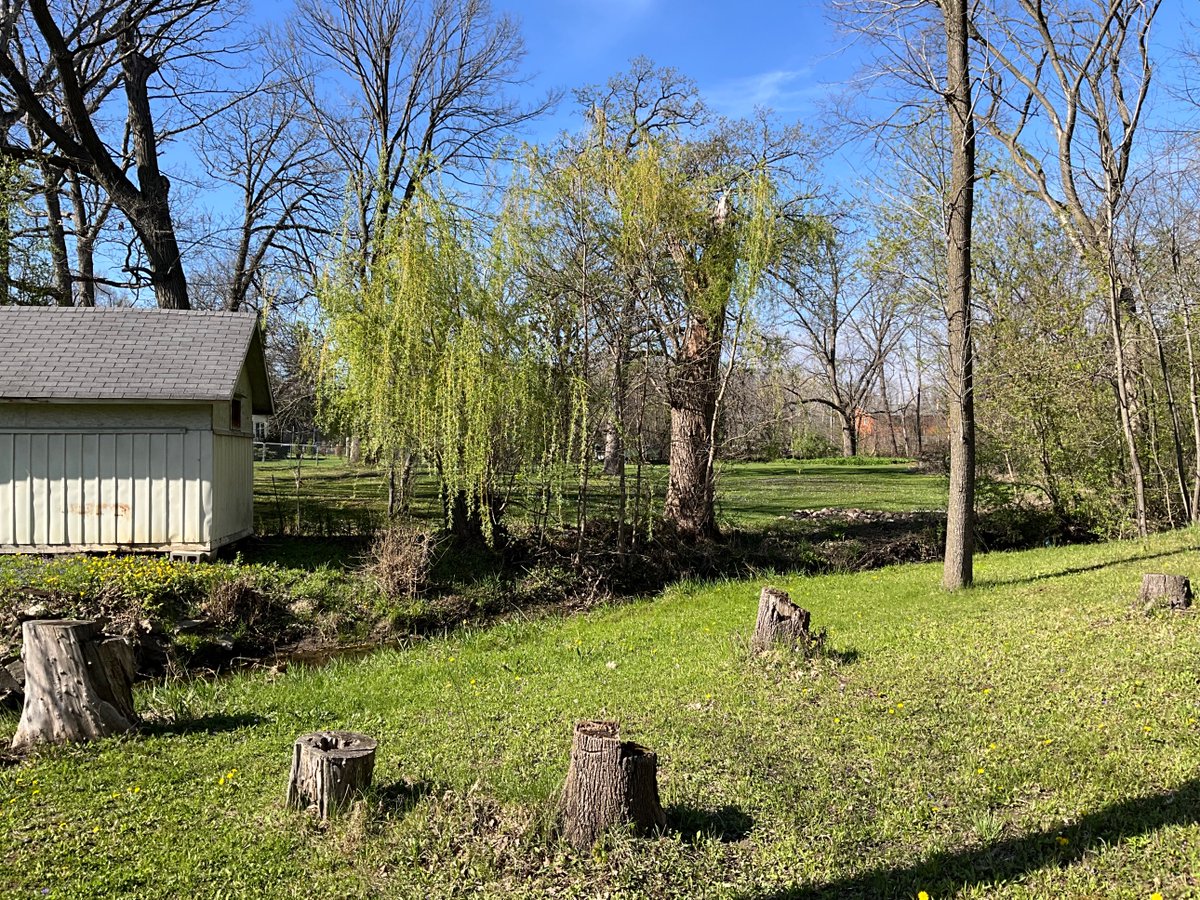VlogsMeow's tweet image. #springvibe
