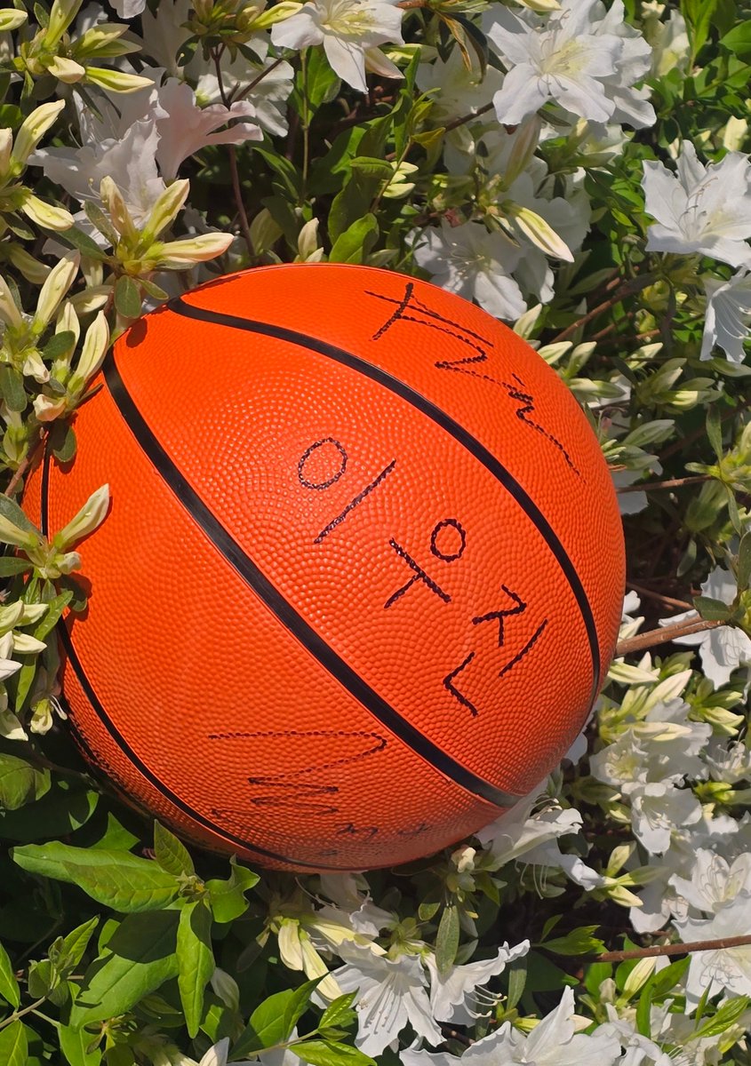 77ㅑ 언다만 우진이 농구공 이벤트 !!
수치스러움을 이기고 손에 넣었다는 소식입니다🙇

#언제나다시만나 #AlwaysMeetAgain