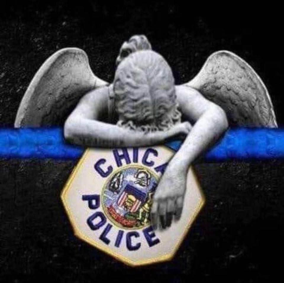 Danielle Carter tweet media