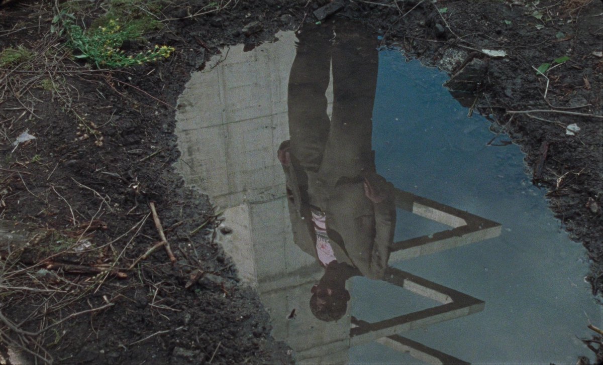 FilmFrame tweet media