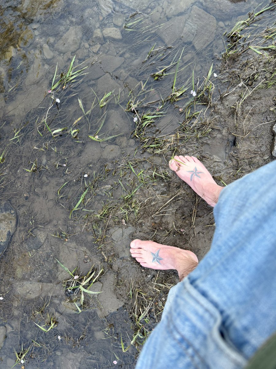 William Wieczorek tweet media