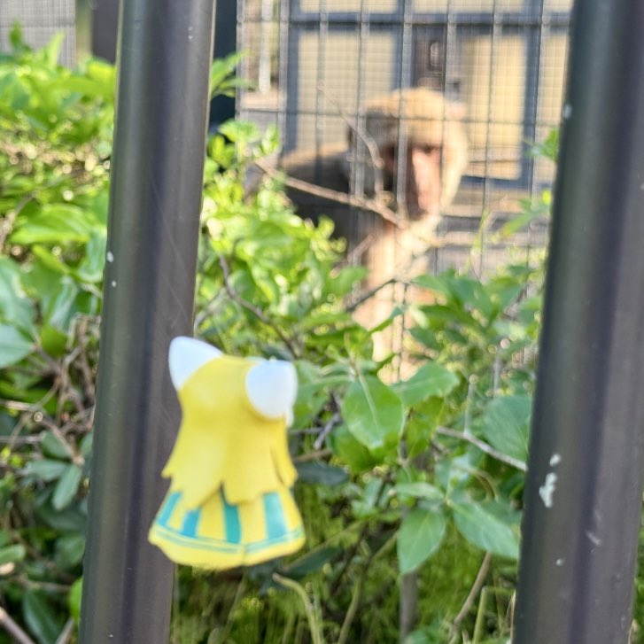 ホーウン tweet media