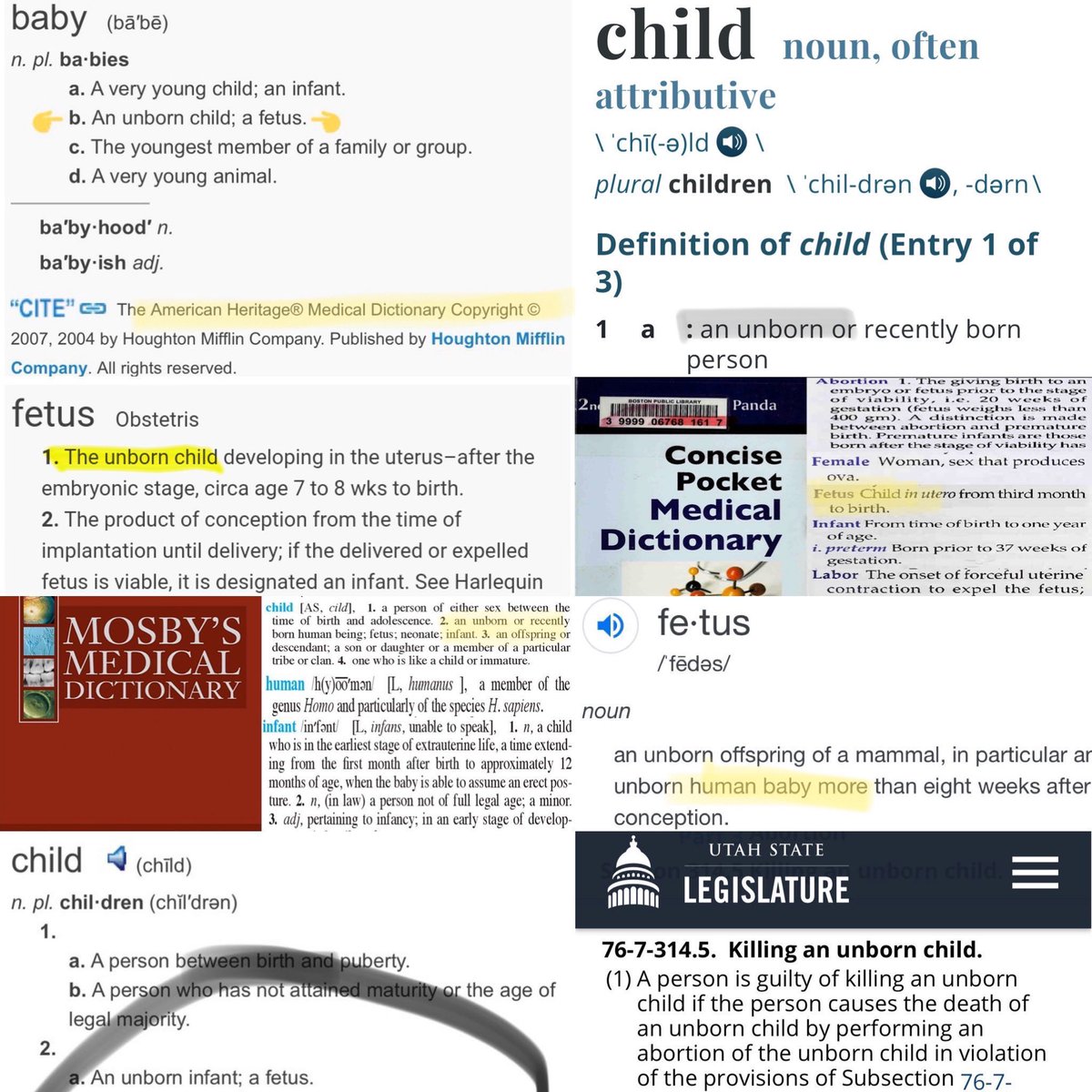 Samantha D. tweet media