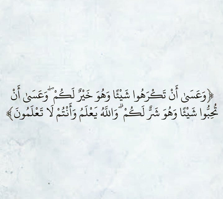 ﴿ القُـرآن الكَـرِيم ﴾ tweet media