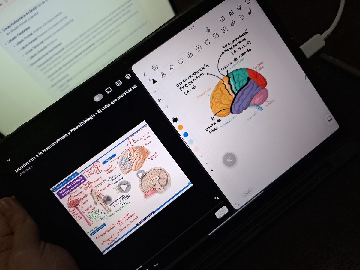 cata ¹ ★ tweet media