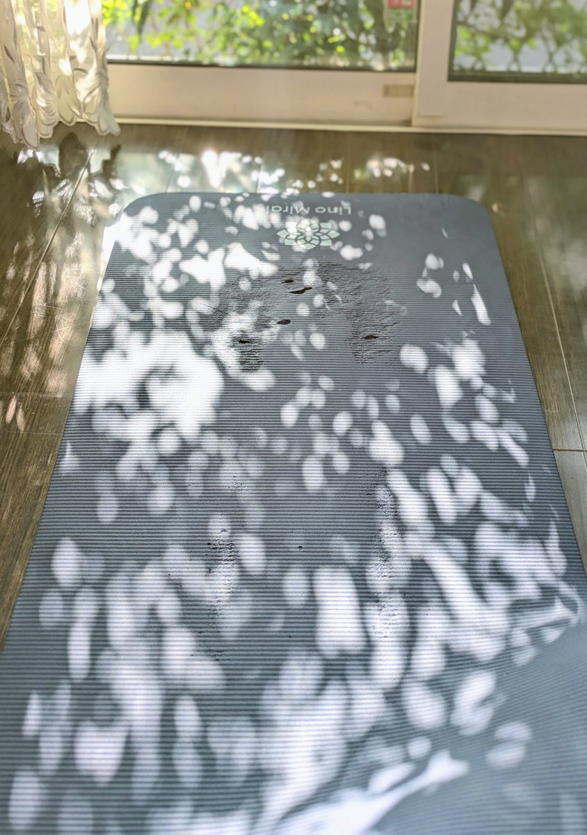 日の出とともにパワーヨガをキメて大汗をかく 気持ちいい