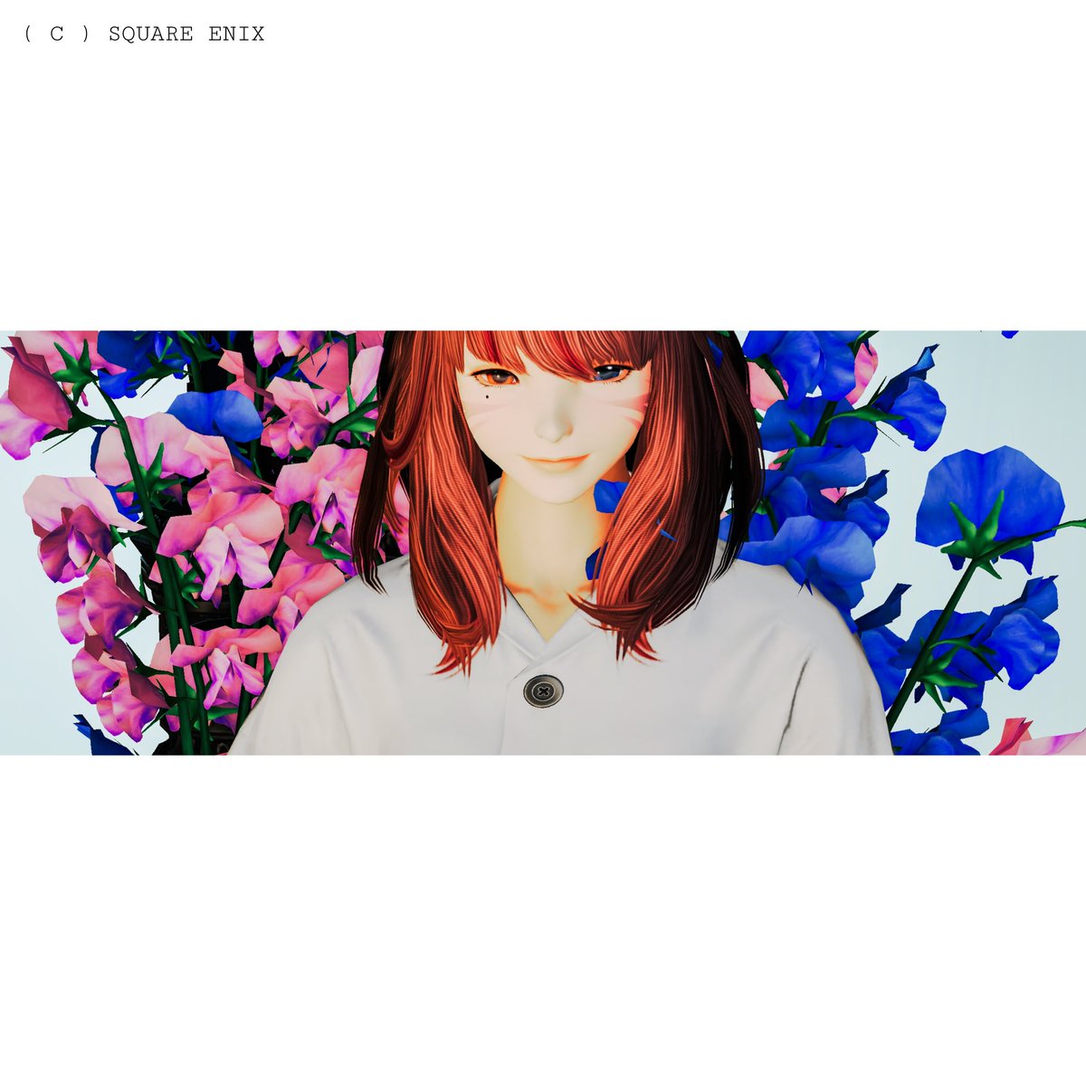 endless090912's tweet photo. おはよう、日曜日。
#eo_Re https://t.co/FB3MM9uIoe