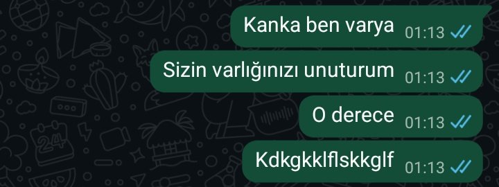 Senandrr's tweet photo. bi erkek için sizi silecek değilim dediğim erkek arkadaşlarıma hitabenn https://t.co/ul7ogEow4Y