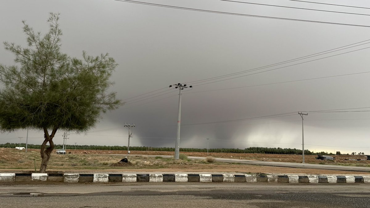 محمد الفرحان tweet media