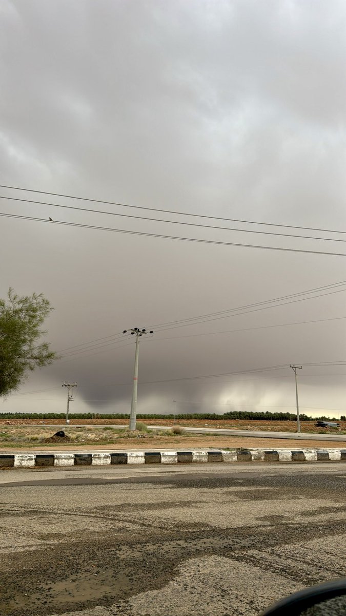 محمد الفرحان tweet media