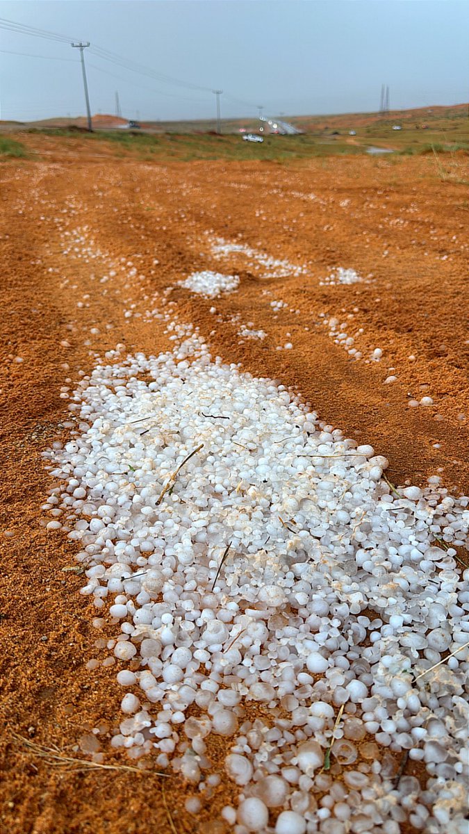 محمد الفرحان tweet media