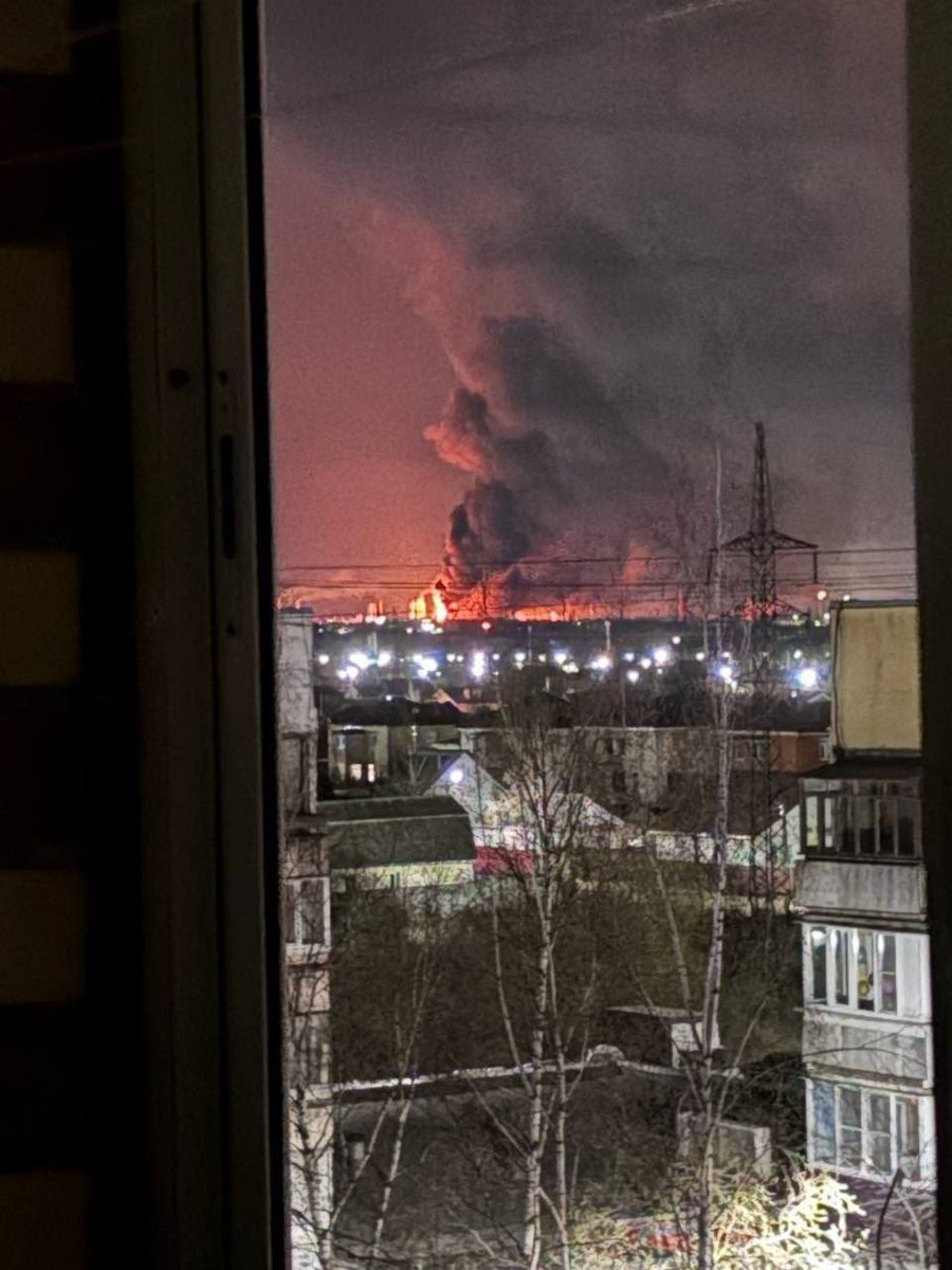 Special Kherson Cat 🐈🇺🇦 tweet media