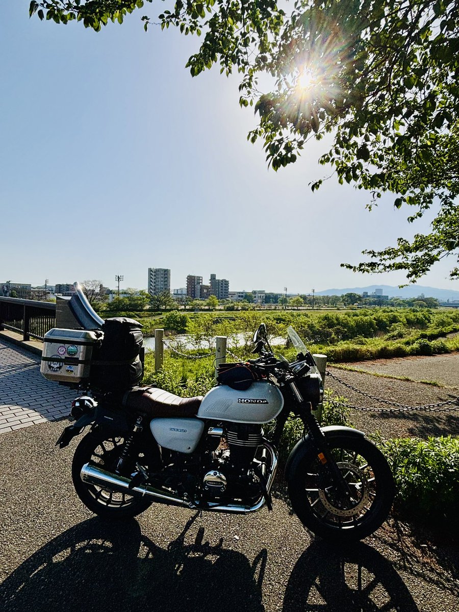 伯耆国のホウキさん@SSTR2026#1653 tweet media