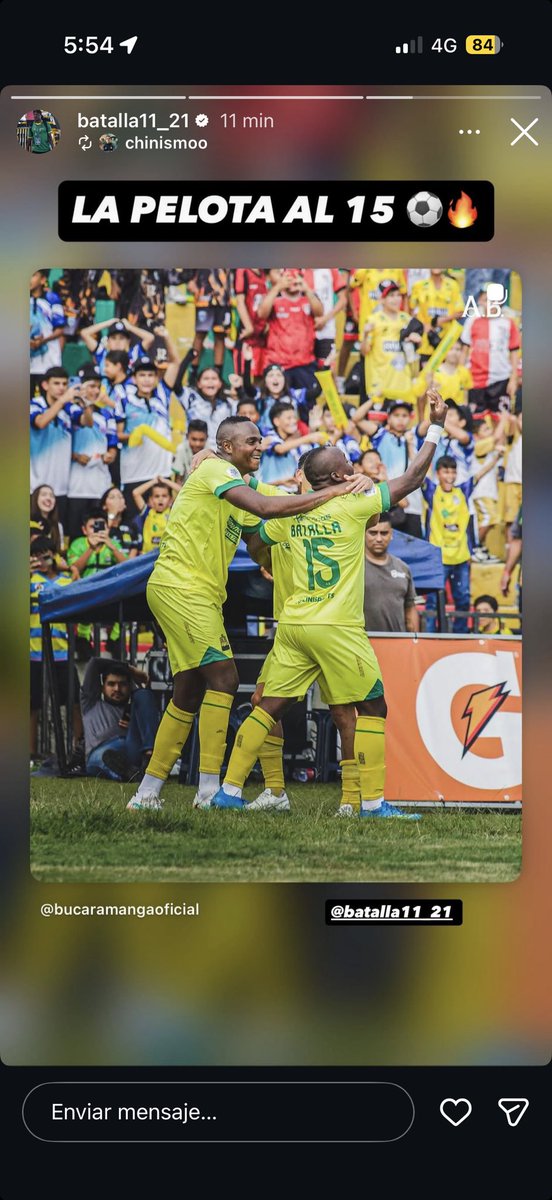 Busetismo (Caicedo) tweet media