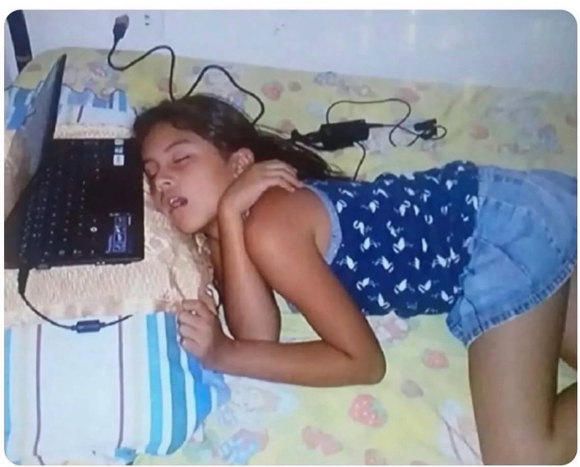 Natasha Rocha tweet media