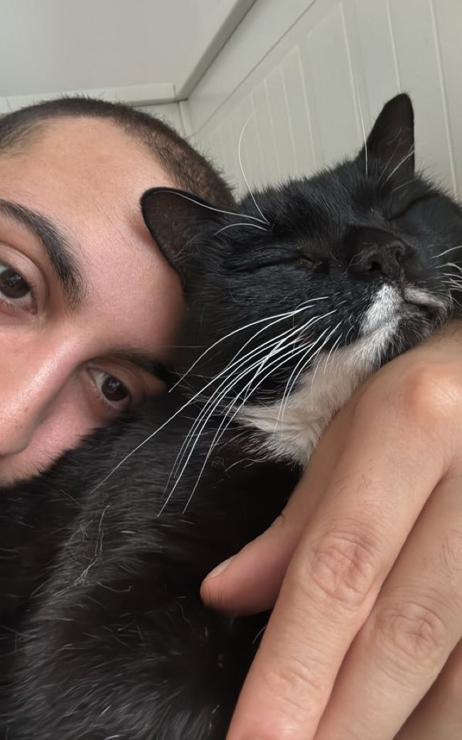 Omar El Fares 🇵🇸 عُمَر الفارس tweet media