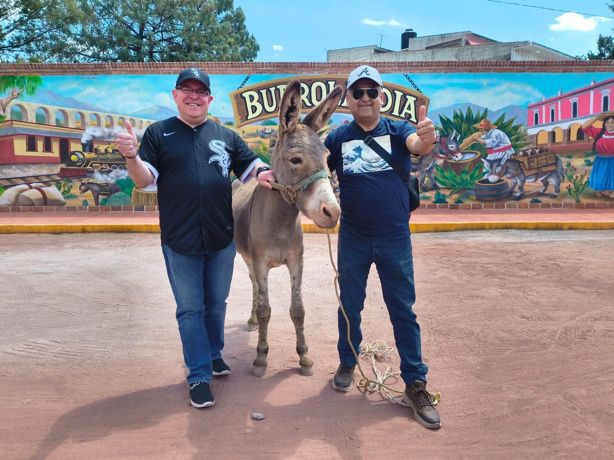 Burrolandia México tweet media