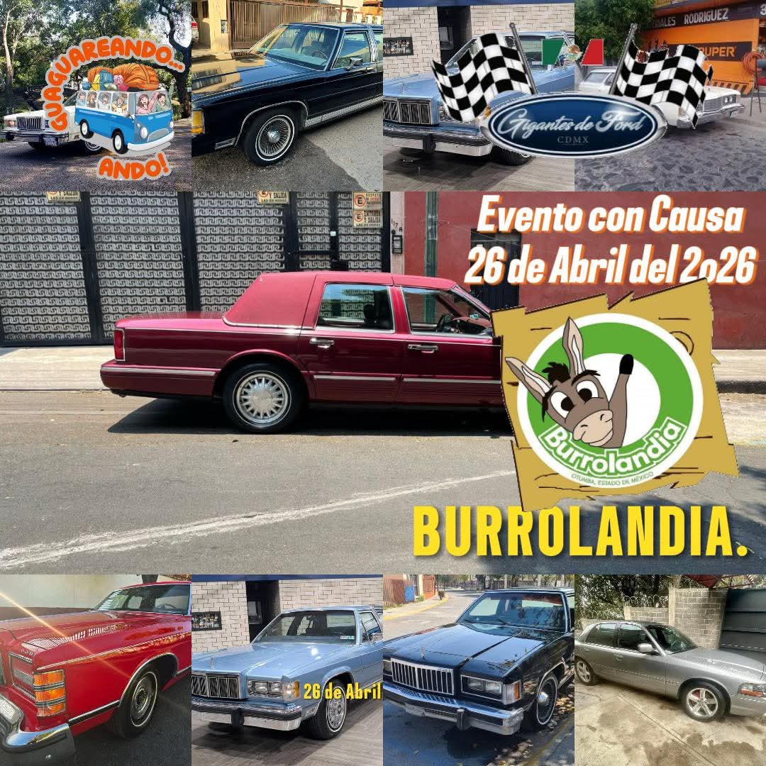 Burrolandia México tweet media
