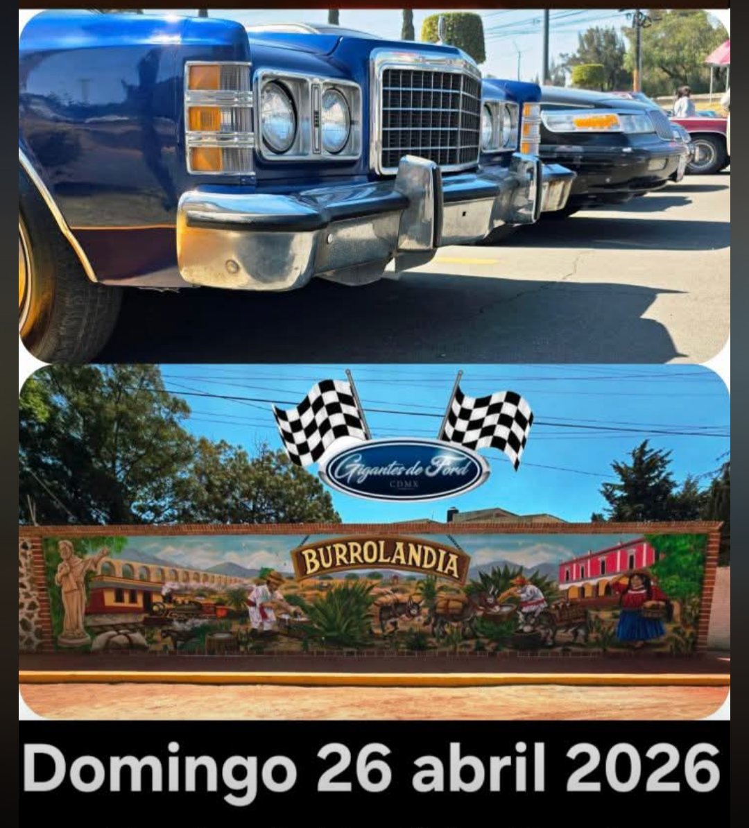 Burrolandia México tweet media