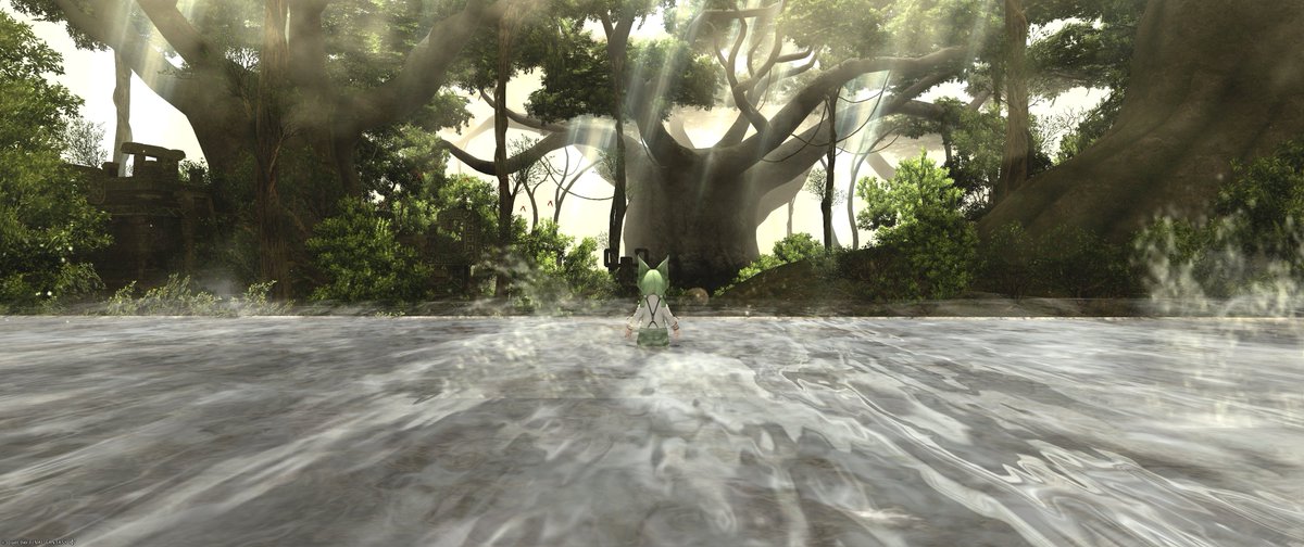 mado🌒Theo🐈‍⬛ tweet media