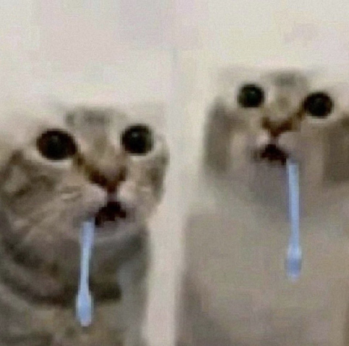 ｡❈ 𝕊𝕥𝕖𝕧𝕠𝕟𝕟𝕚𝕖 𝑜𝒻 𝓈𝒽𝓉𝓌𝓉 ❈｡ tweet media