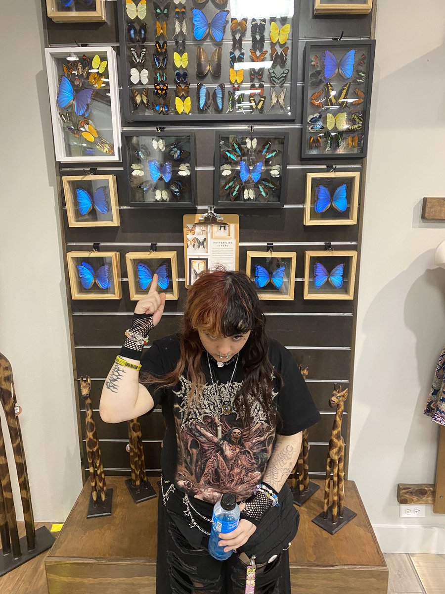 tyleir タイラー tweet media