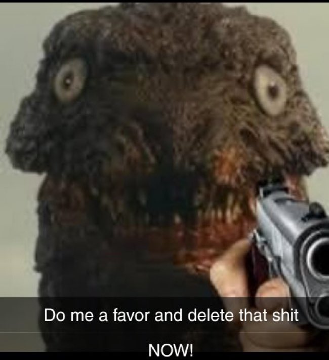 Boulf 🐸 🇺🇸 tweet media