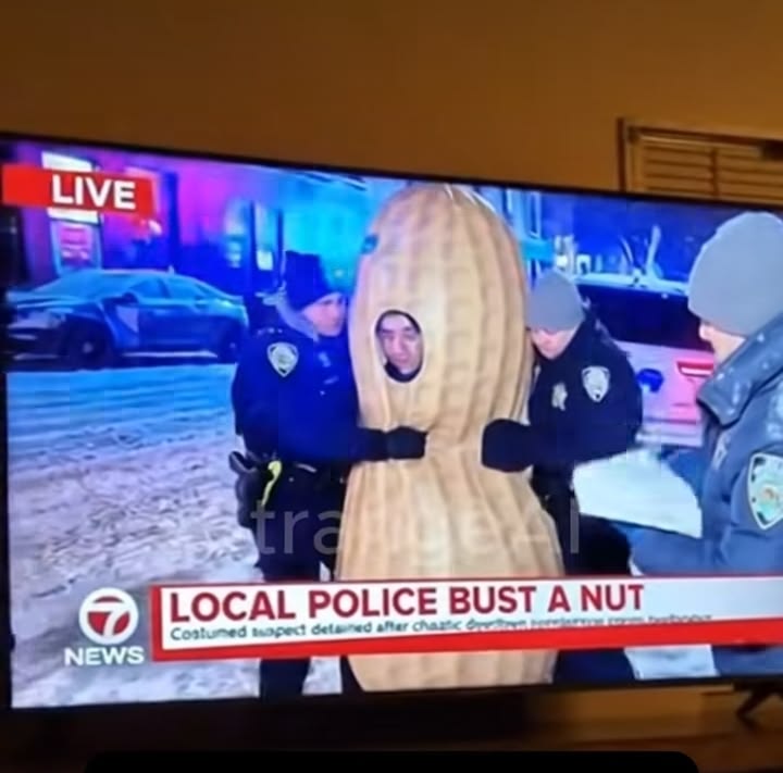 i like food tweet media