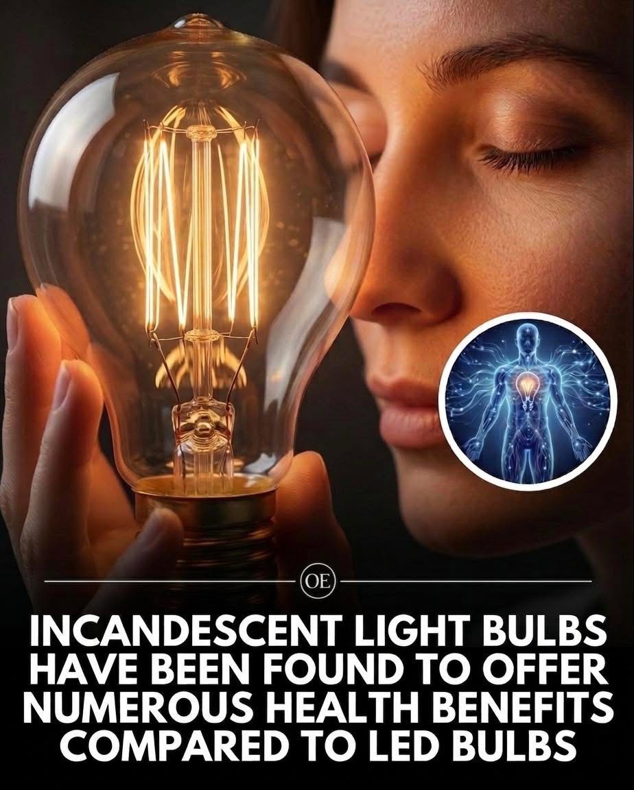 For years, we’ve been pushed toward "efficient" LEDs, but we may have lost something vital in the process: the healing power of full-spectrum frequency.

Unlike the sharp, digital flicker of modern bulbs, incandescent light operates on a biocompatible wavelength that mimics the