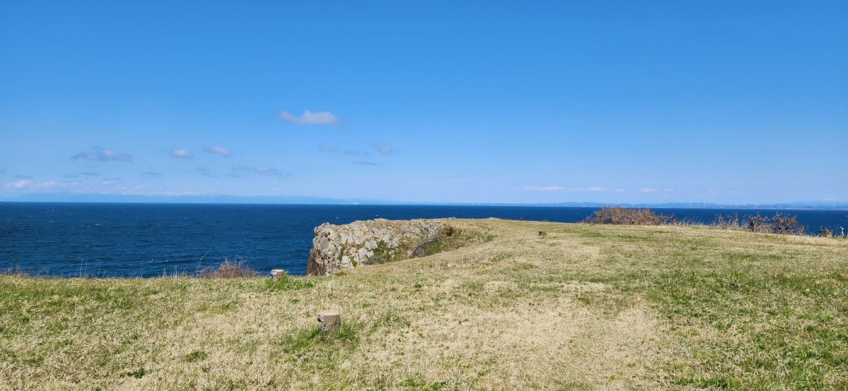 P for Penguin tweet media