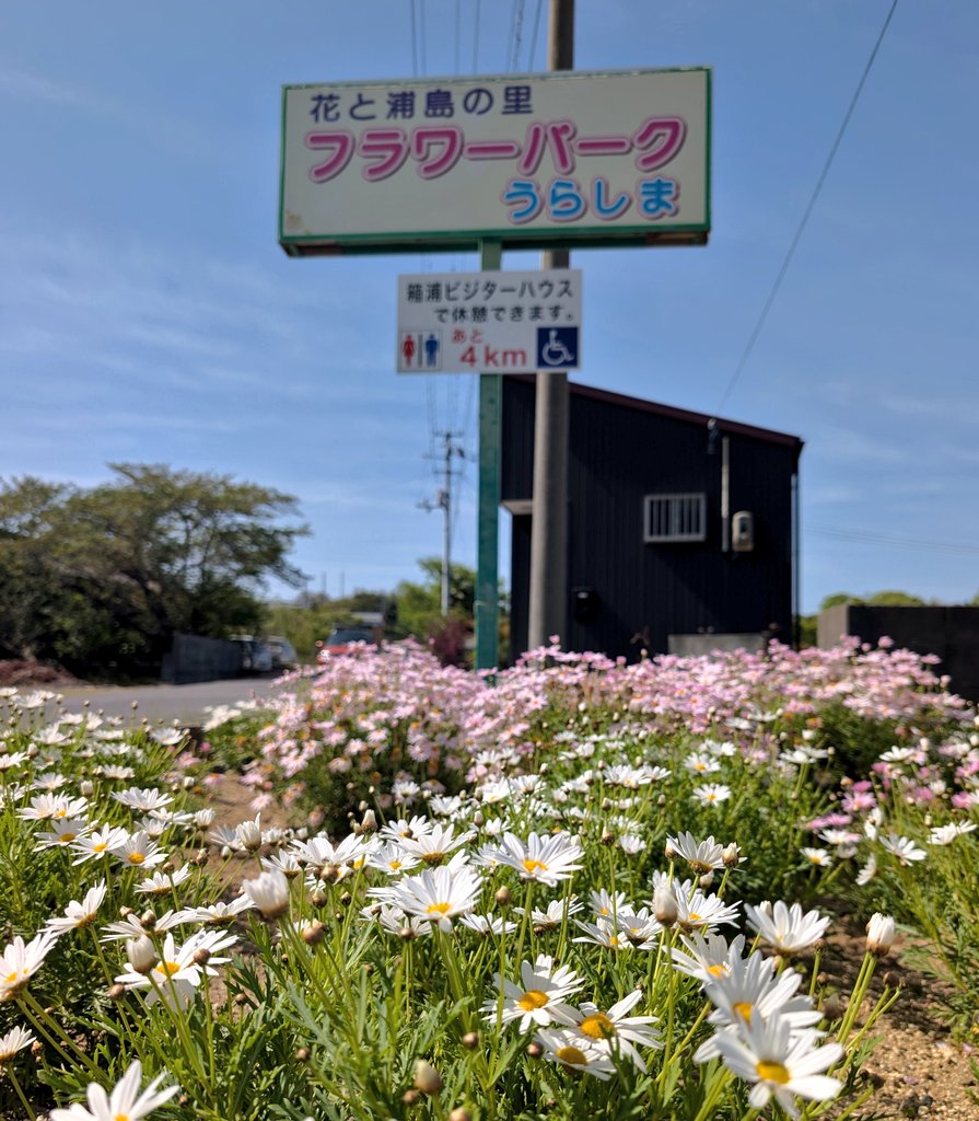 ✡Ai✡ tweet media