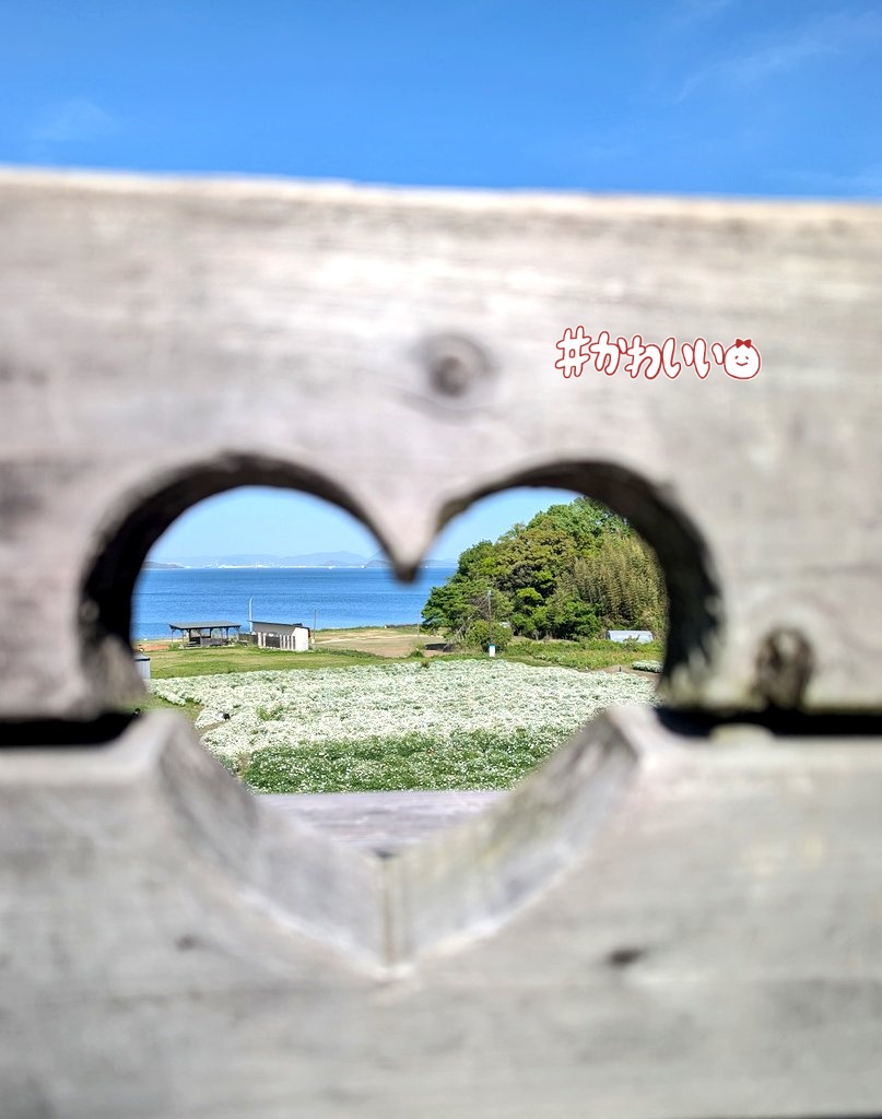 ✡Ai✡ tweet media