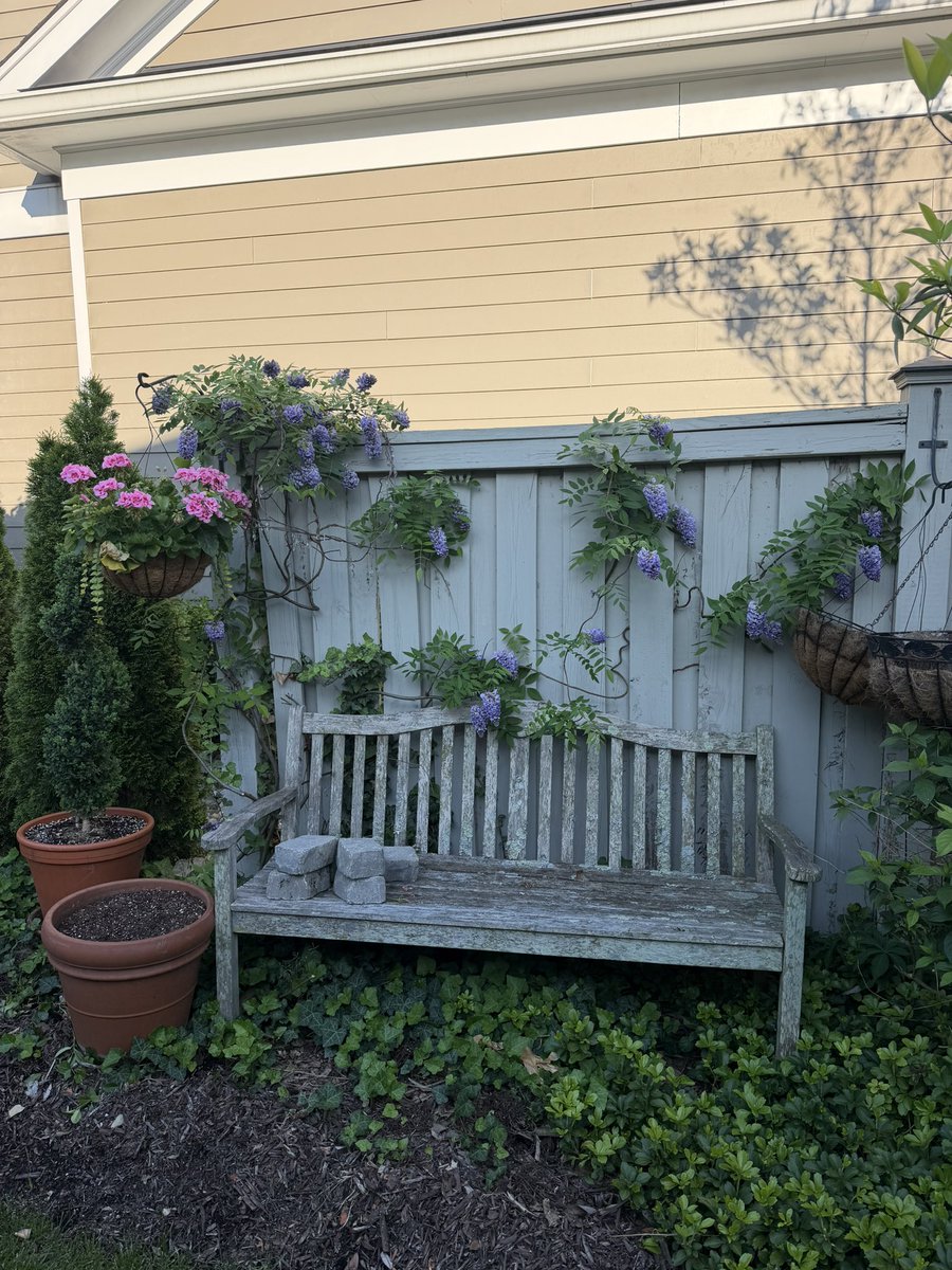 Dan Albertson tweet media